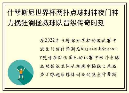什琴斯尼世界杯两扑点球封神夜门神力挽狂澜拯救球队晋级传奇时刻
